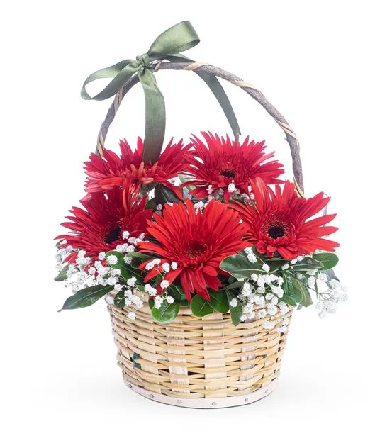 Masal Perisi 5 Kırmızı Gerbera Çiçek Sepeti