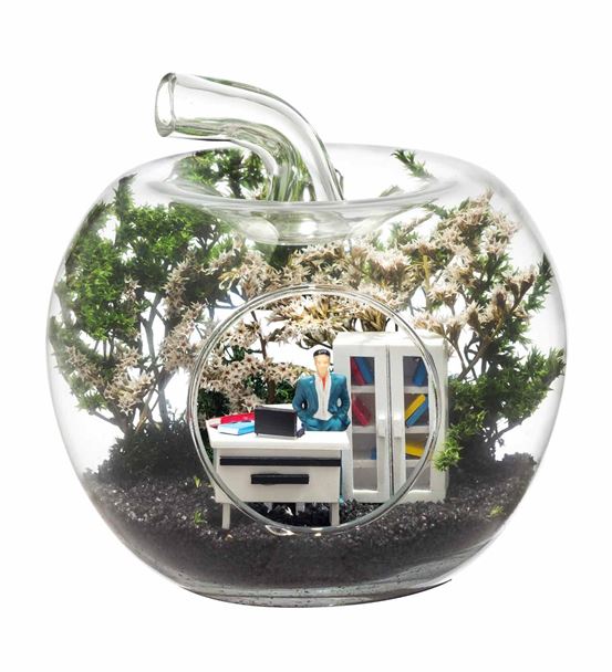 Teraryum Mini Yeni İş Erkek