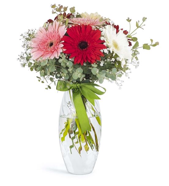 Renk Cümbüşü Gerbera Mevsim Çiçekleri