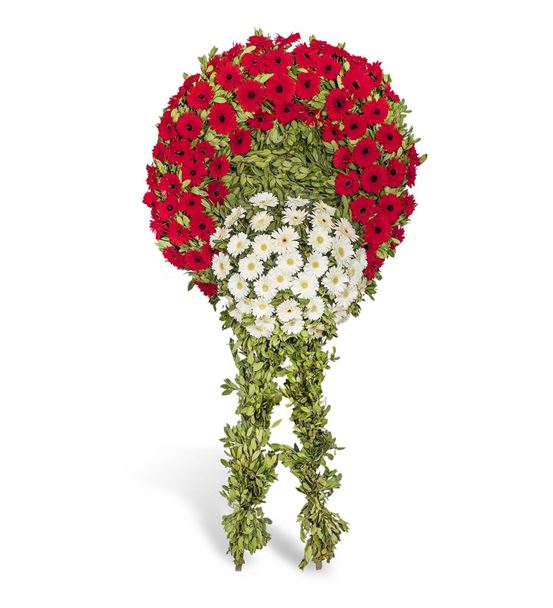 Kırmızı Beyaz Gerbera Cenaze Çelengi