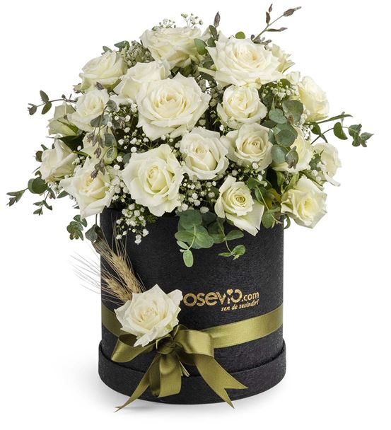 White Beauty Kutuda 30 Beyaz Güller